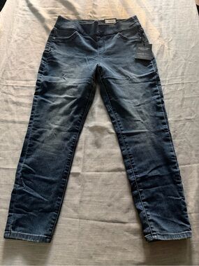 Simply Vera Vera Wang Indigo Skinny Jeans